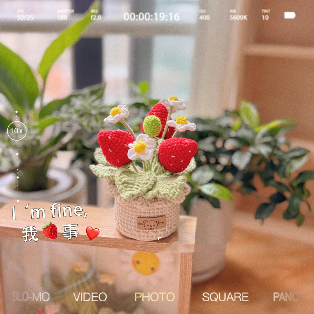 diy wool strawberry potted flower material package - Image 3
