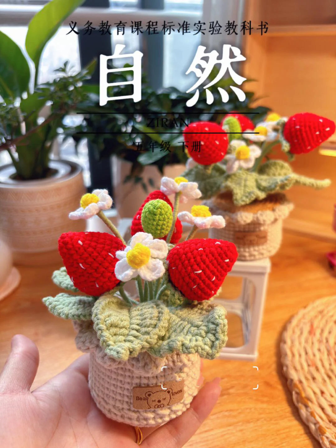 diy wool strawberry potted flower material package - Image 5
