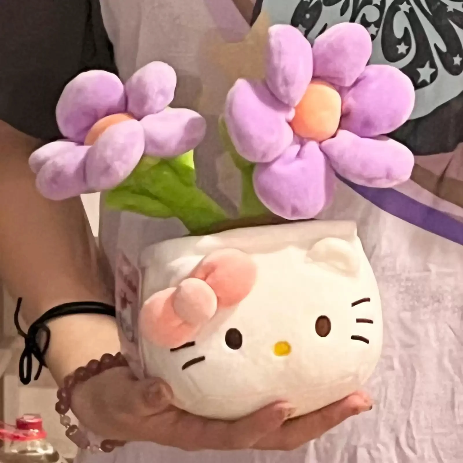 KT bouquet plush potted plant doll - Image 2