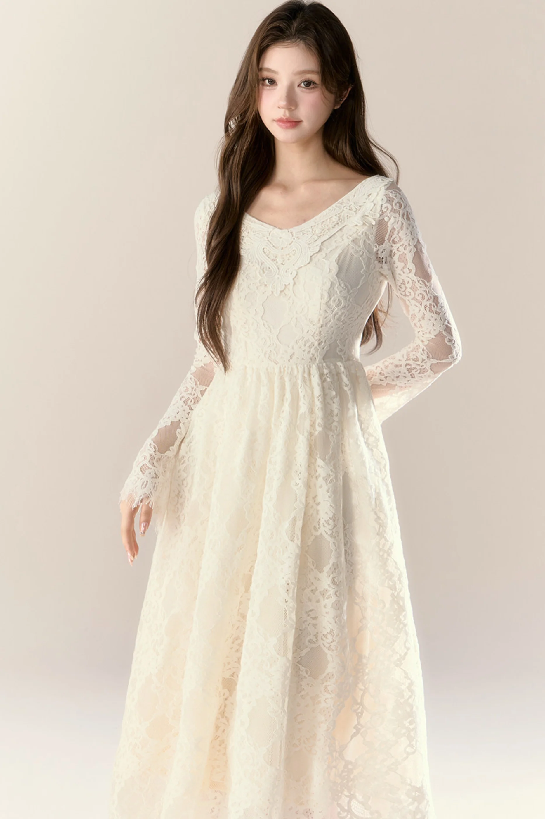 Lace Story Elegant Dress - Image 5