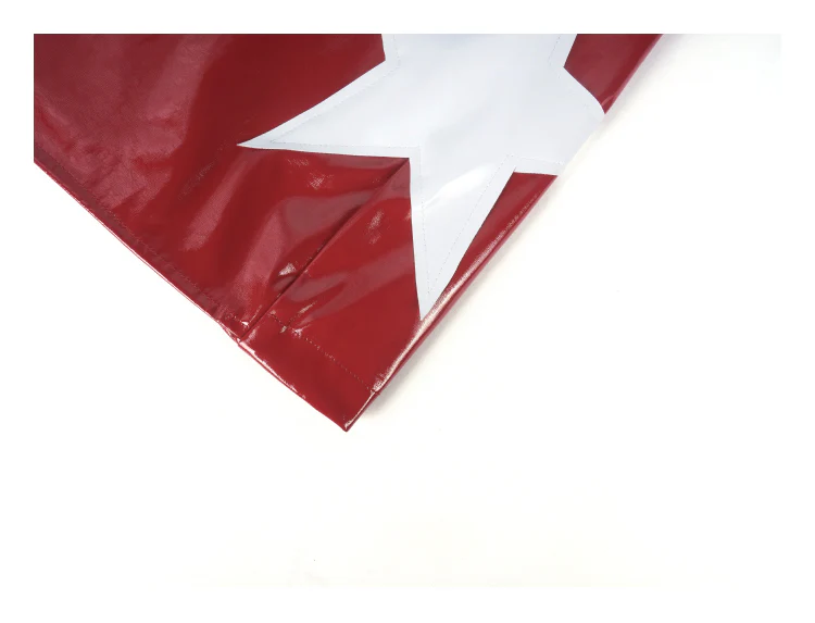 Star Patch Leather Skirt - Image 4
