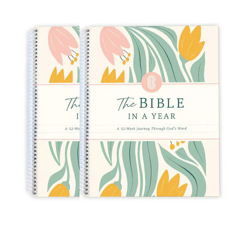 The Bible In A Year 52-Week Study - Image 4